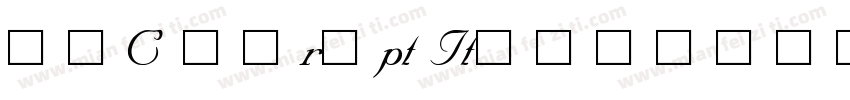 SNC Script Italic字体转换